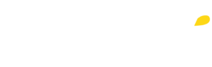 Logo_phyness_Logo horizontal blanc